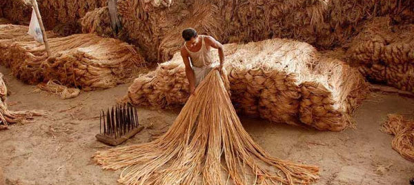 What is Jute - Fabric Guide, Uses and Care