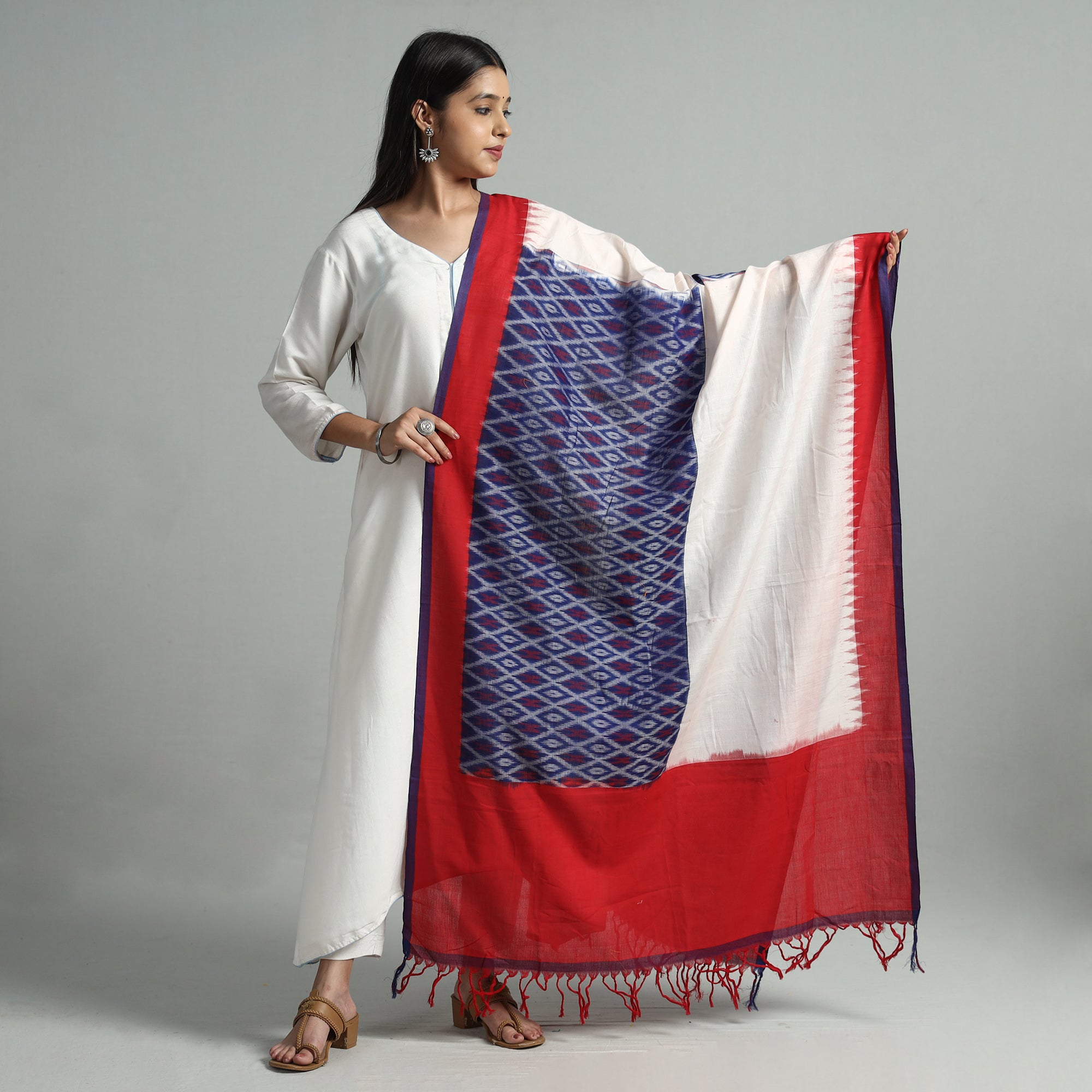 Multicolor - Handloom Mercerized Cotton Pochampally Ikat Dupatta 08