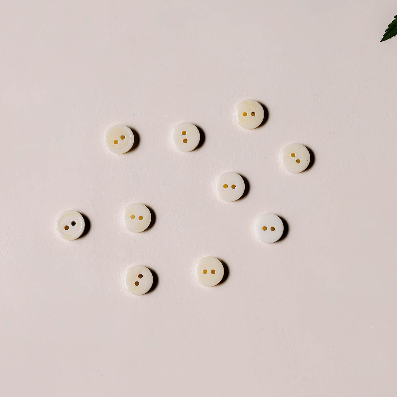 1cm hand carved bone clothing button (set of 10) 20