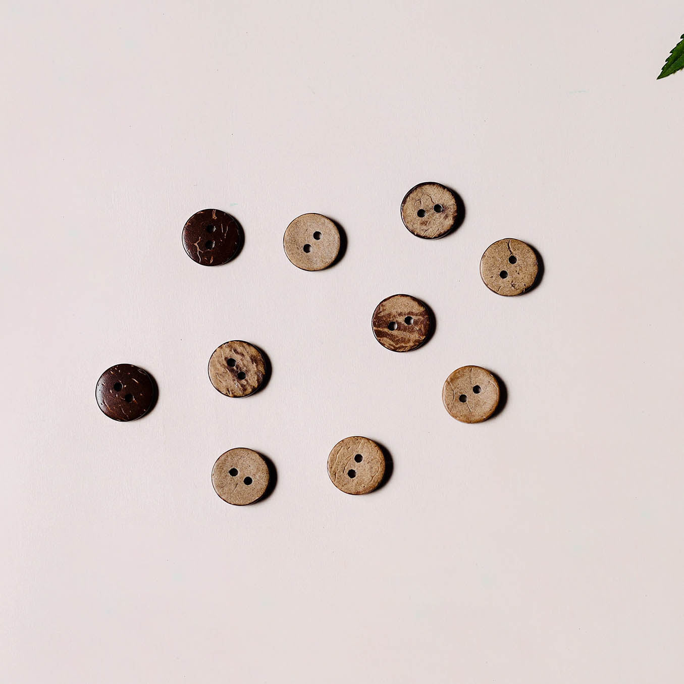 1cm hand carved coconut shell clothing button (set of 10)