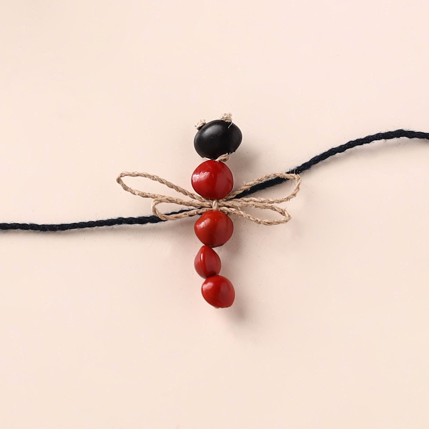 Dragonfly - Handmade Eco-Friendly Plantable Seed Rakhi 01