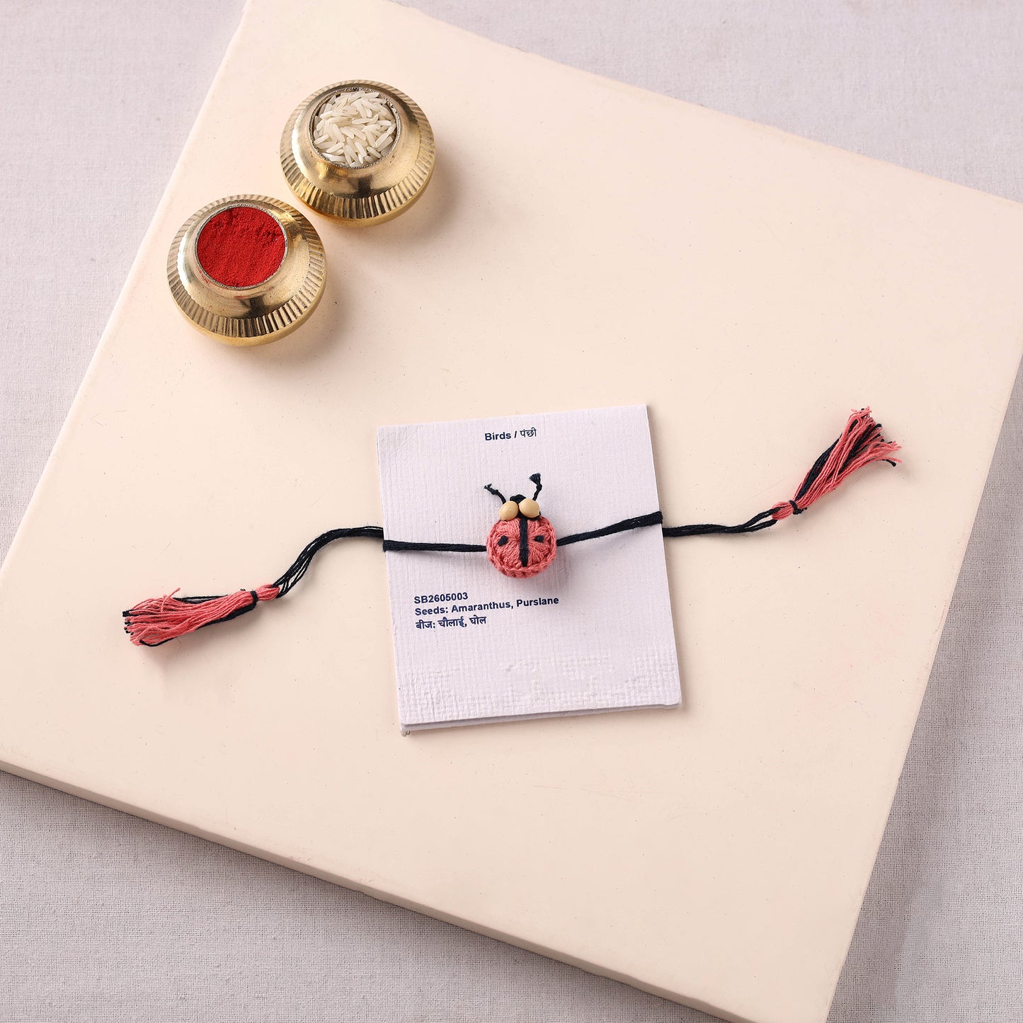 Beetle - Handmade Eco-Friendly Plantable Seed Rakhi 09