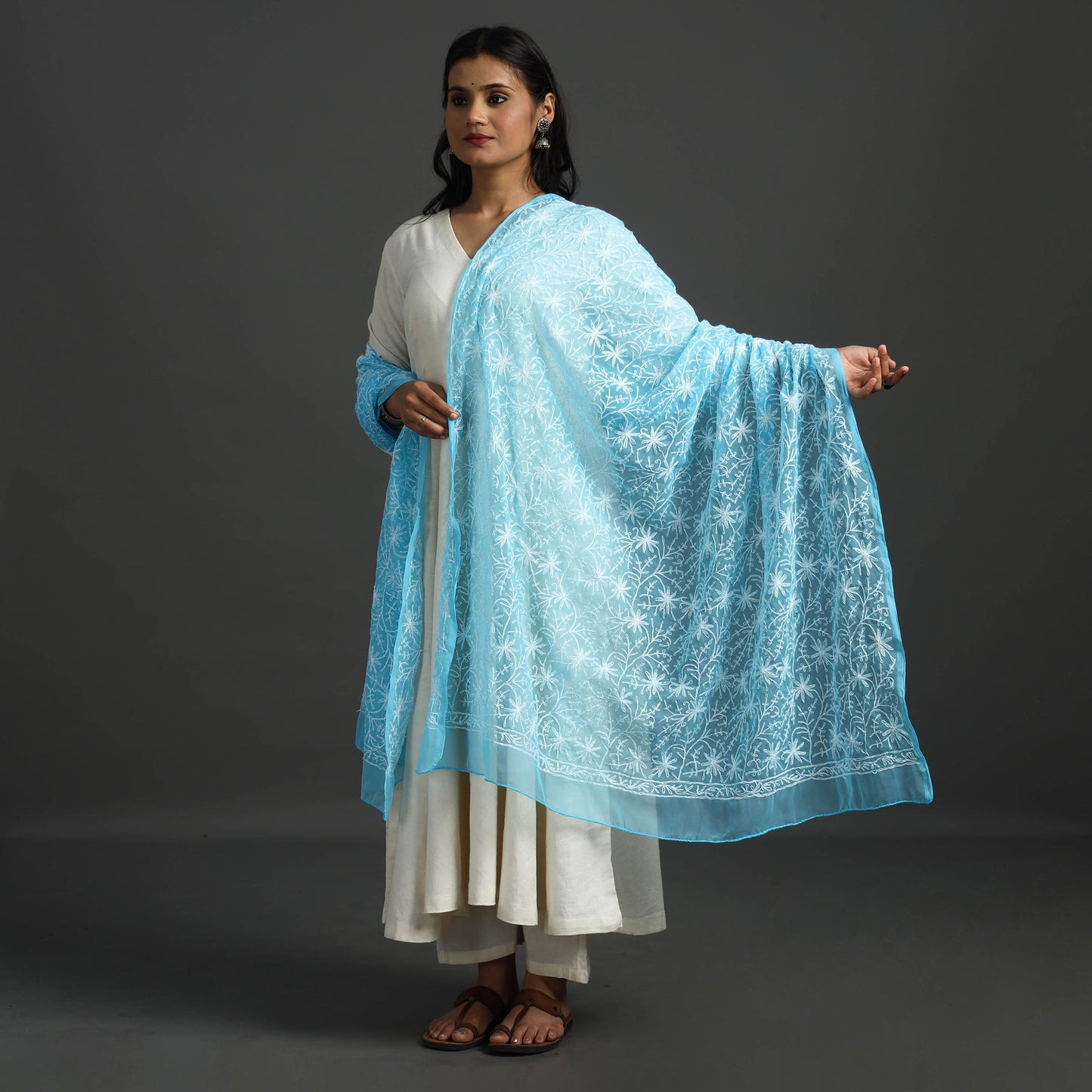 Blue - lucknow chikankari tepchi embroidery georgette