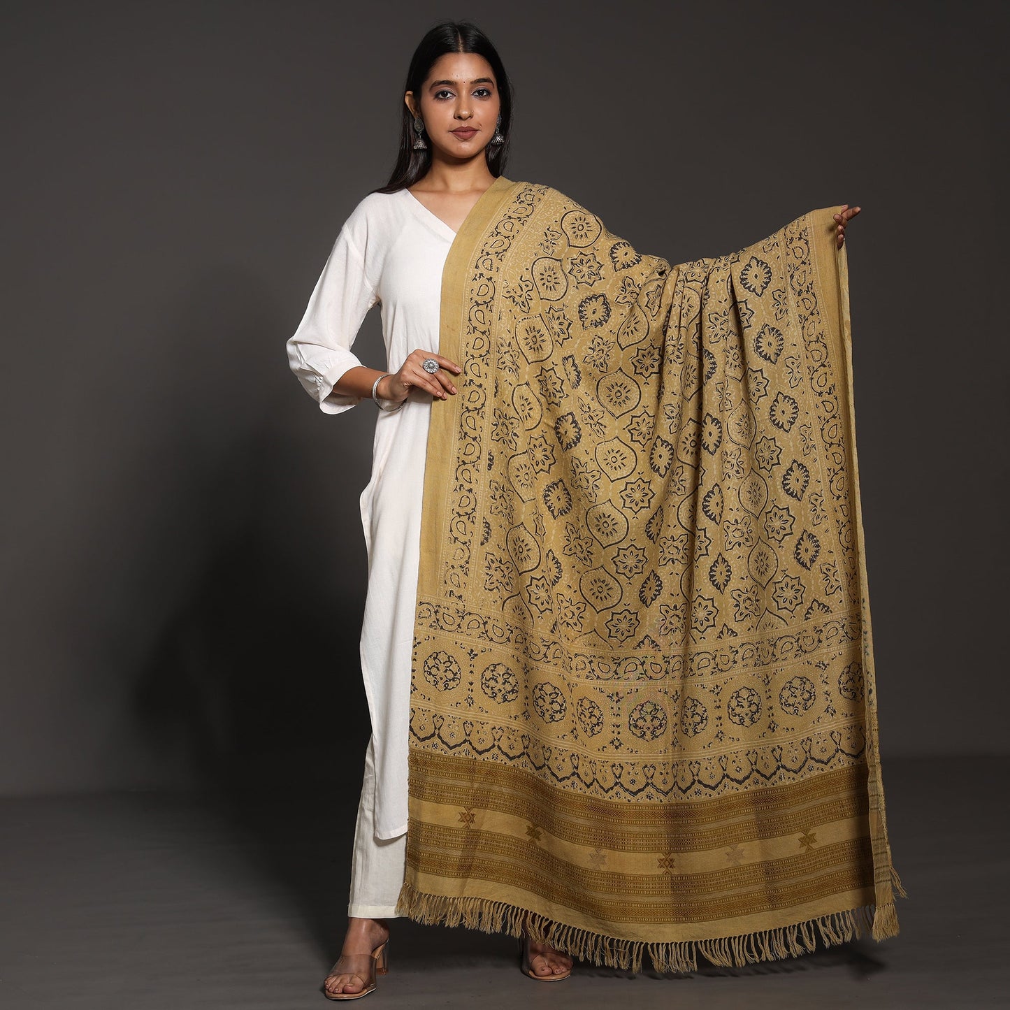 Brown Kutch Traditional Ajrakh Block Printed Handwoven Pure Wool Shawl