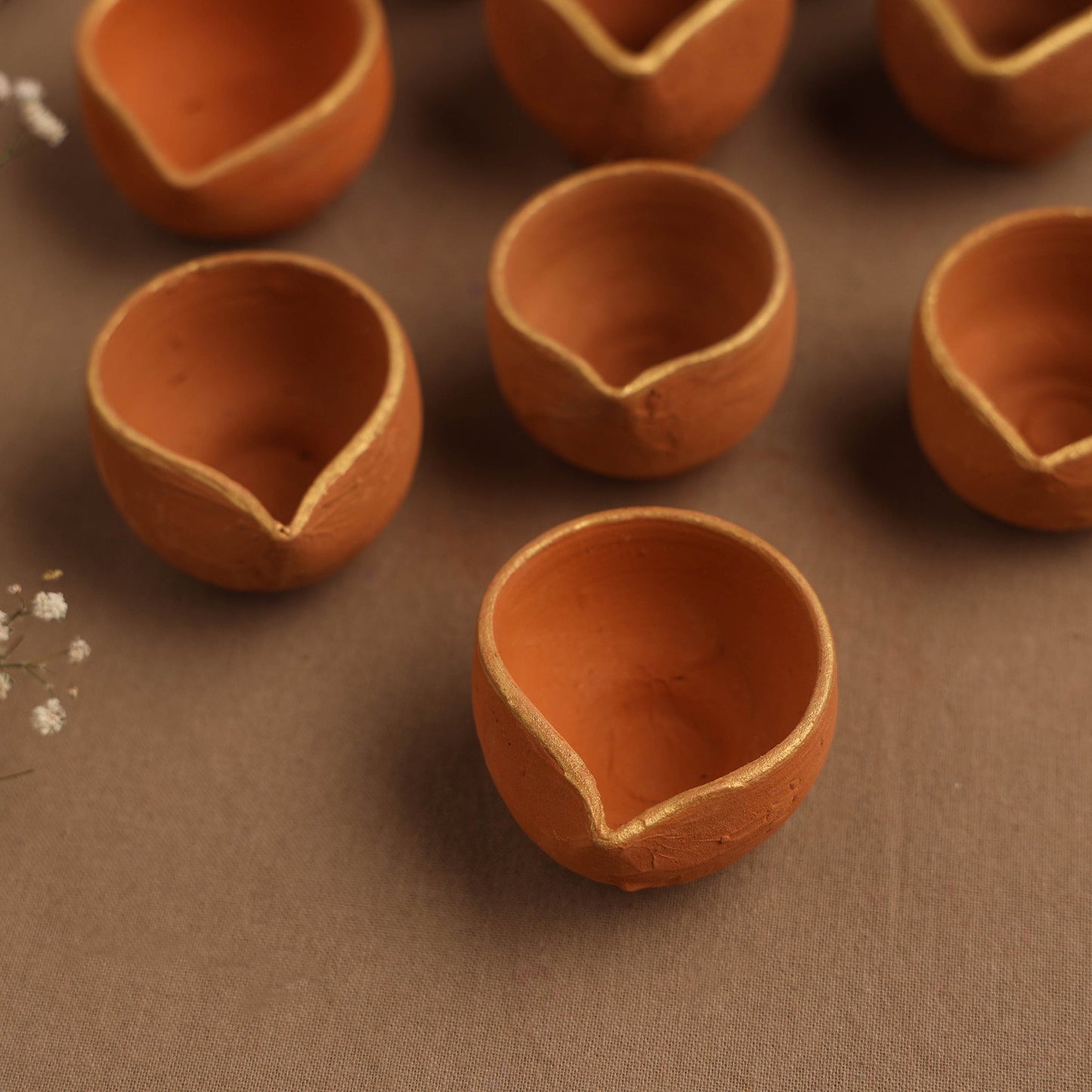 Terracotta Diyas for Eco Friendly Lighting!