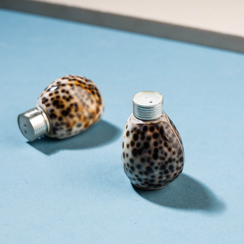 Handcrafted Seashell Salt & Pepper Shaker Online at iTokri.com