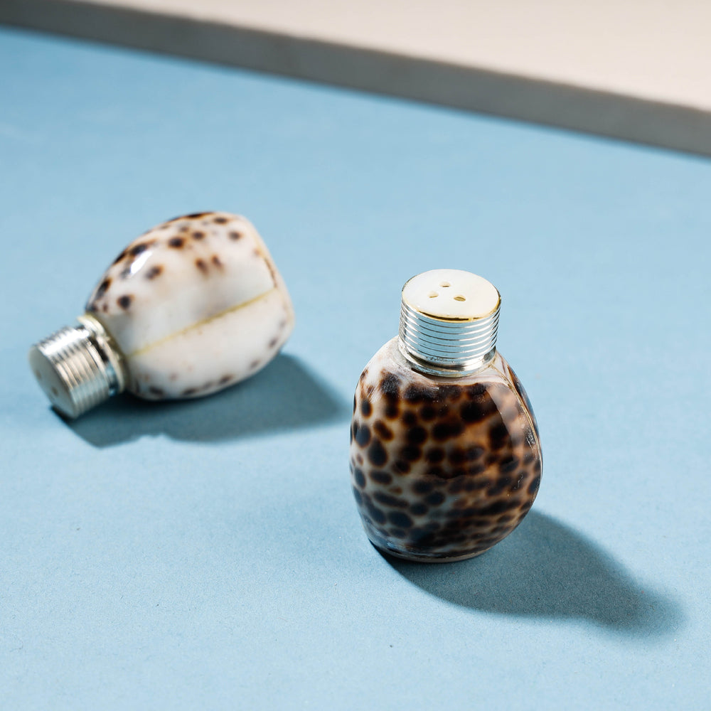 Handcrafted Seashell Salt & Pepper Shaker Online at iTokri.com