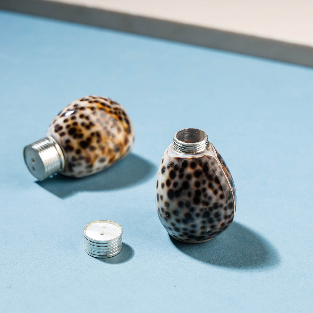 Handcrafted Seashell Salt & Pepper Shaker Online at iTokri.com
