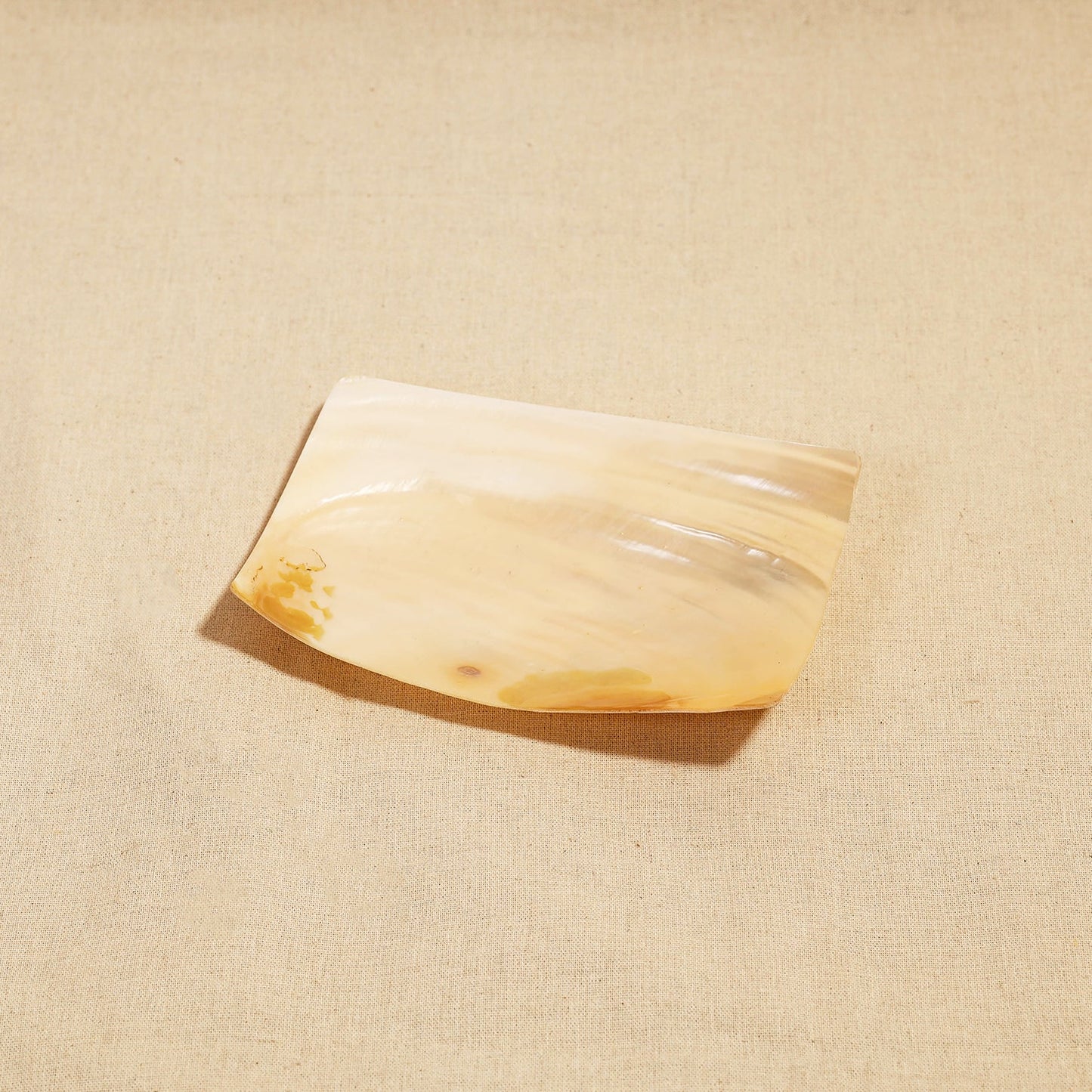 Handcrafted Seashell Soap Dish Online at iTokri.com