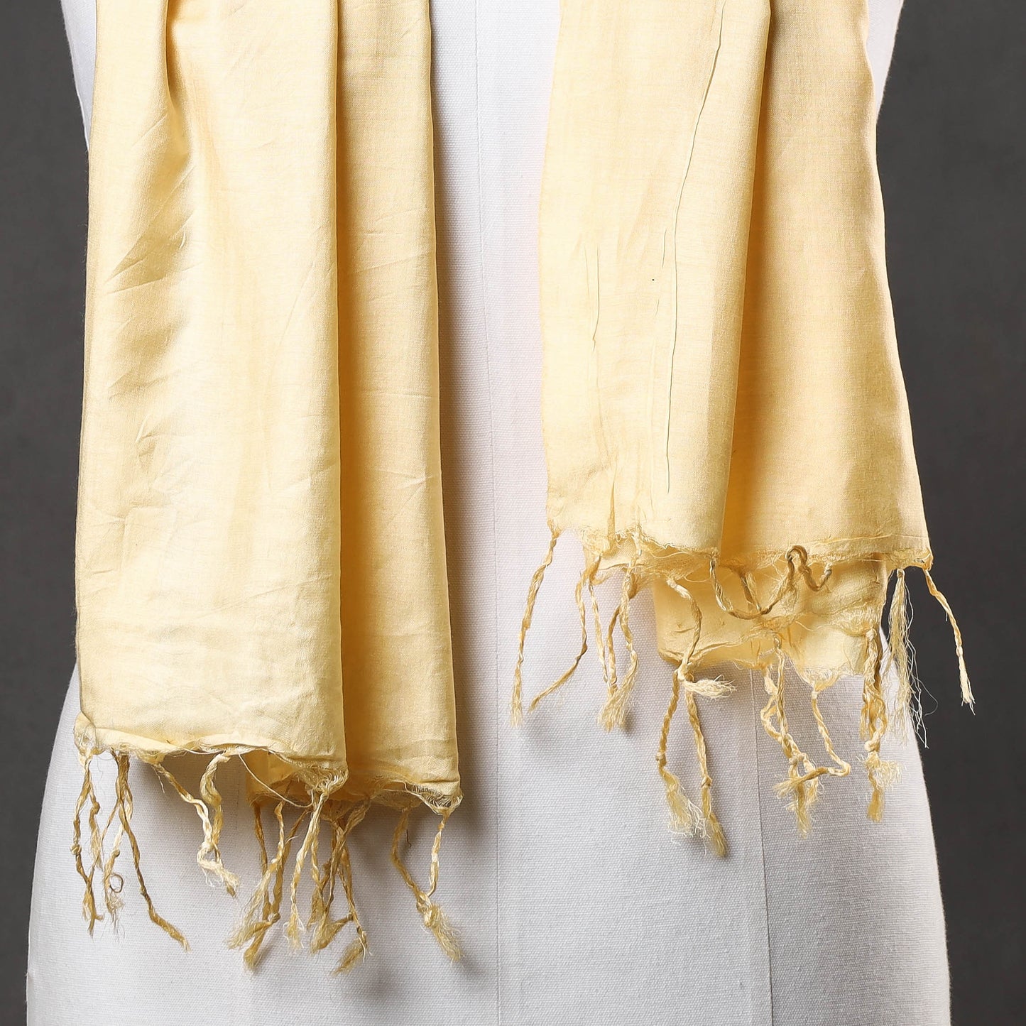 Vidarbha Pure Tussar Silk Cotton Handloom Stole