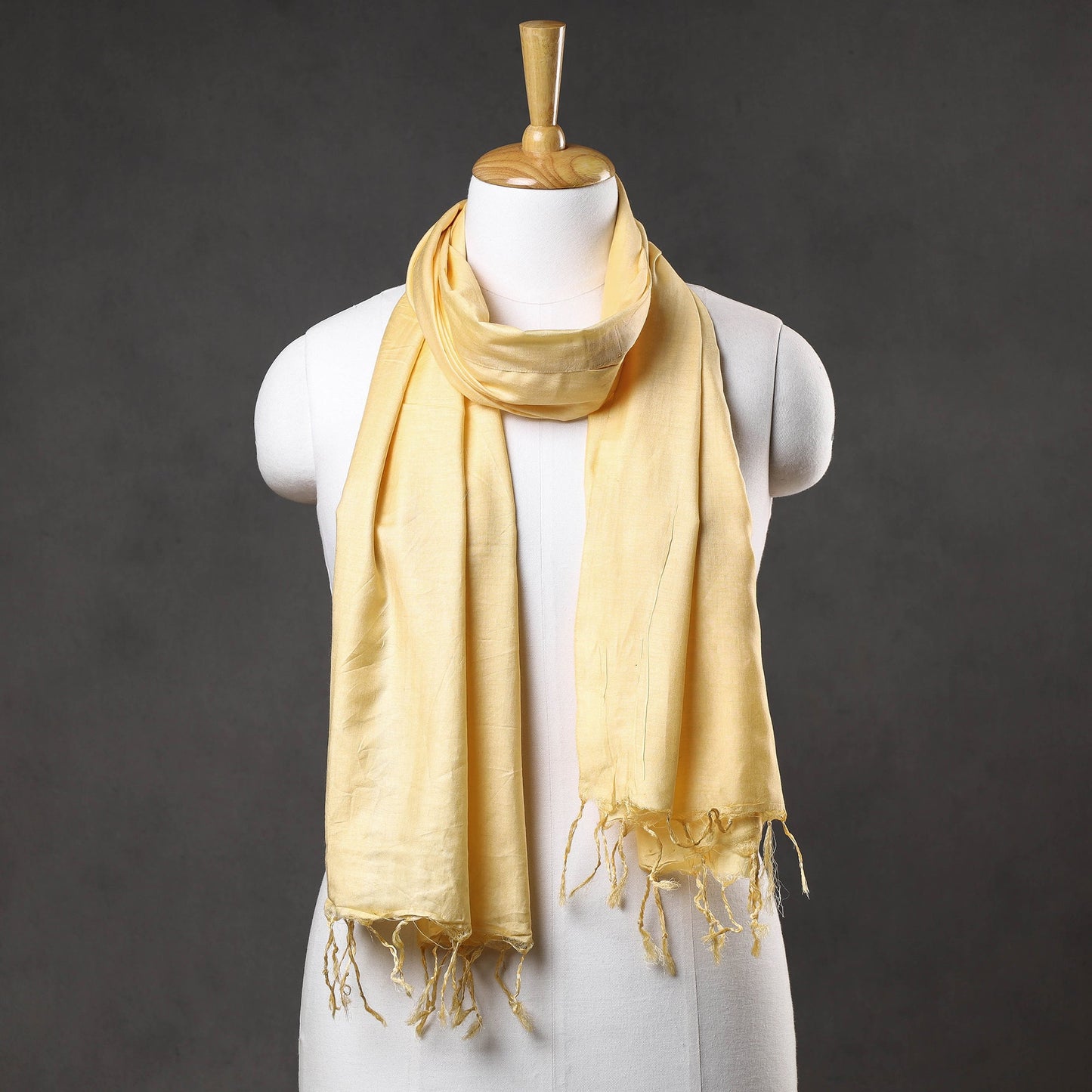 Vidarbha Pure Tussar Silk Cotton Handloom Stole