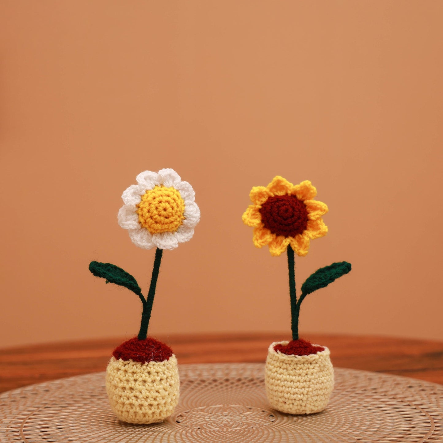 Handmade crochet flower pots (set of 2) 19 - handcrafted