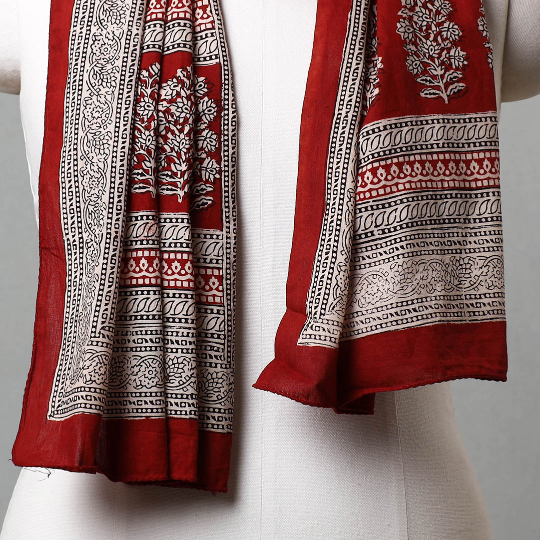Bagh Hand Block Printed Cotton Stole Online at iTokri.com