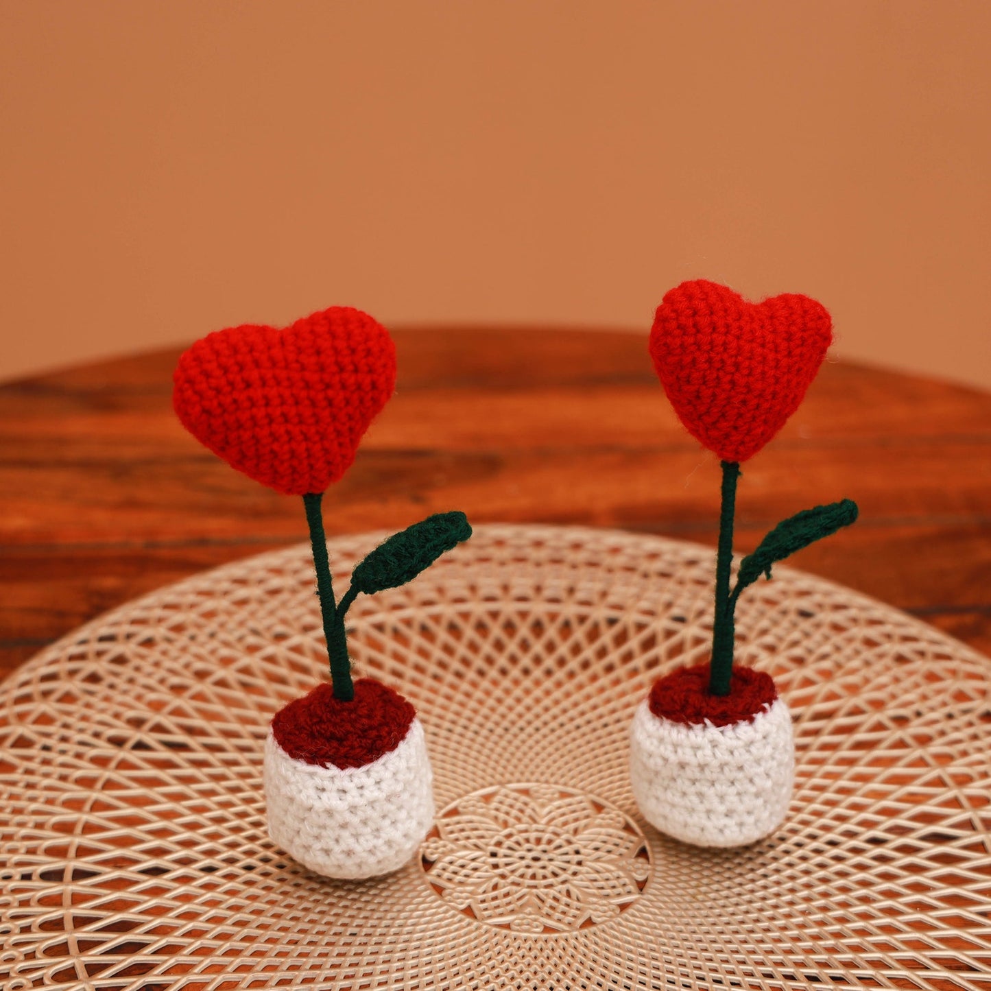 Handmade crochet flower pots (set of 2) 20 - handcrafted