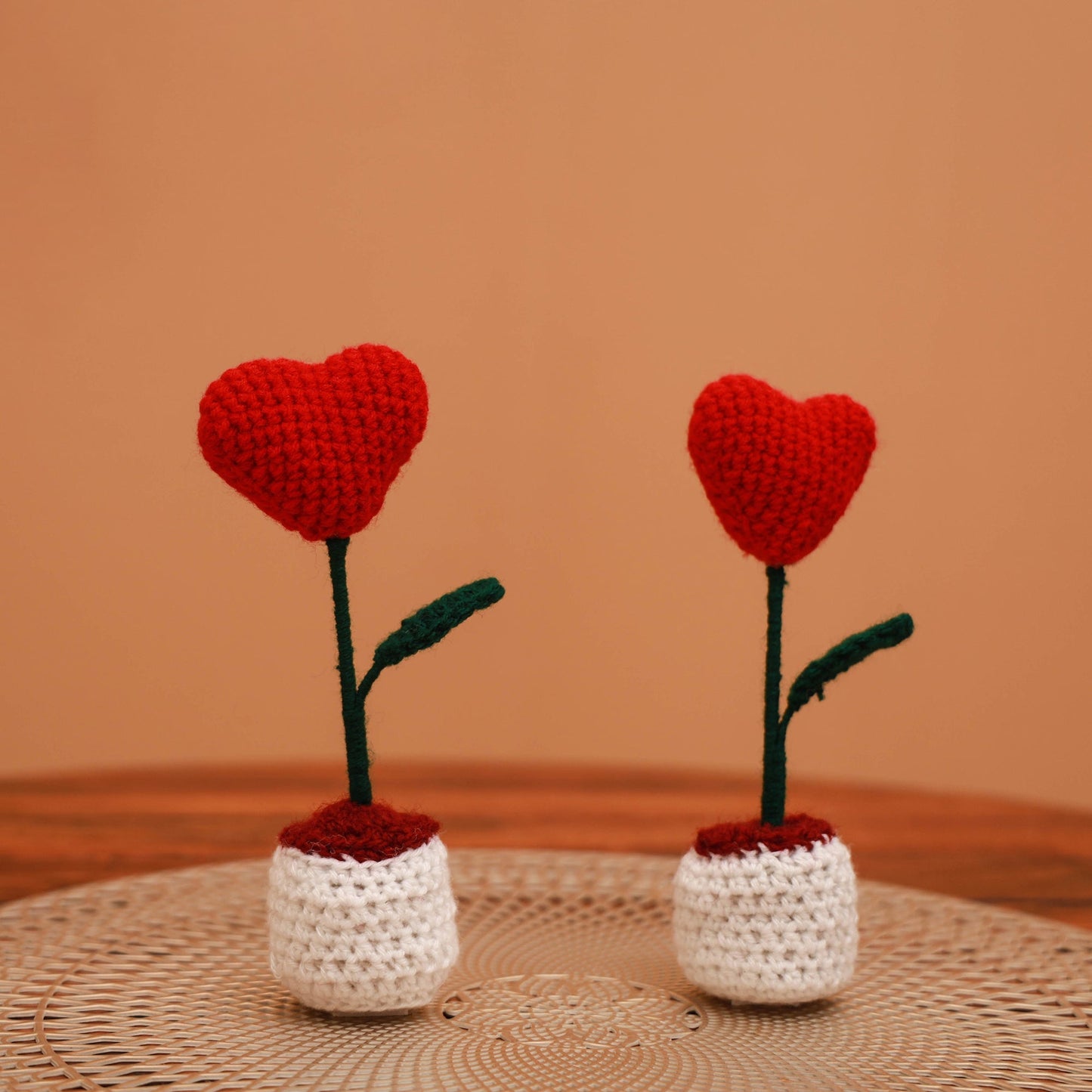 Handmade crochet flower pots (set of 2) 20 - handcrafted