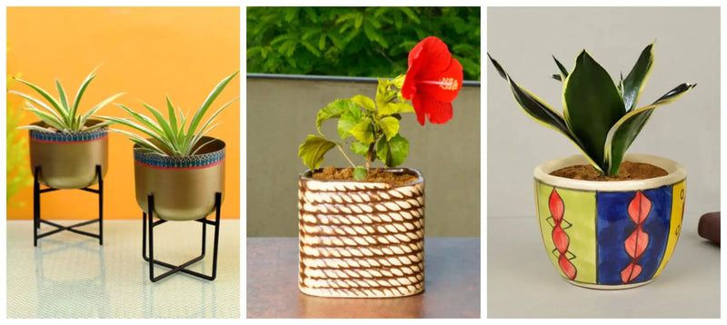 4 Creative Garden Decor Ideas to Make Your Space Flourish