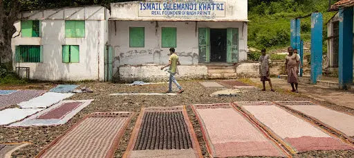 small village of Bagh- Vamika singh