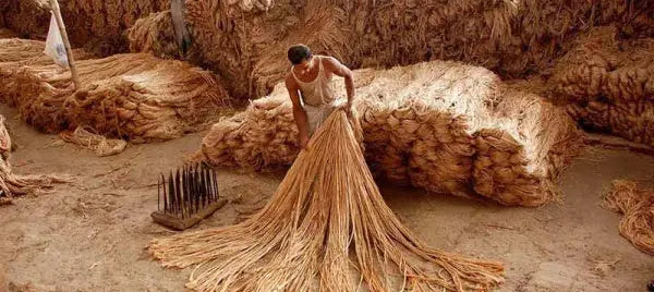 Uses & Benefits of Jute: Go Sustainable with Eco-Friendly Jute Fabric