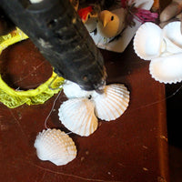 Seashell