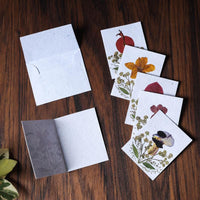 New Year Greeting Cards