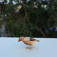 Paper mache birds by trilok thakur