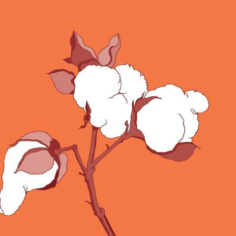 Know the process of handloom