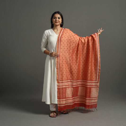 Orange - Block Printed Chanderi Silk Bagru Dupatta 68