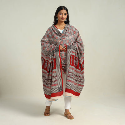 Multicolor - Hand Block Print Cotton Bagh Dupatta 21