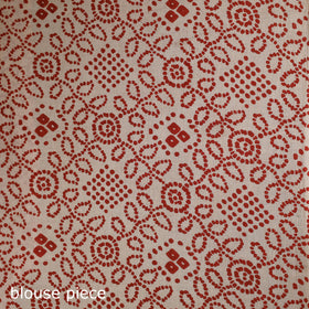 Kalamkari Printed Pure Cotton Saree 19