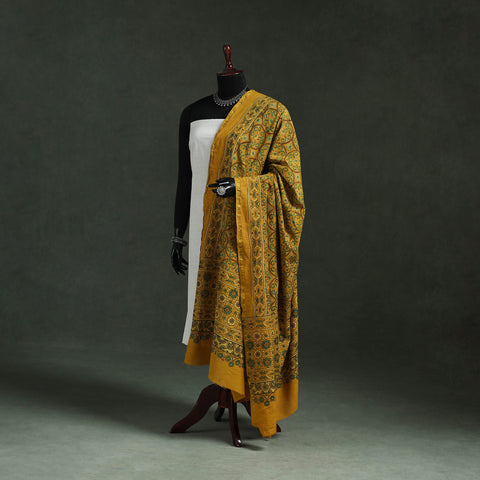 Chanderi Silk Kutch Hand Block Print Natural Dyed Handloom Ajrakh Dupatta 33