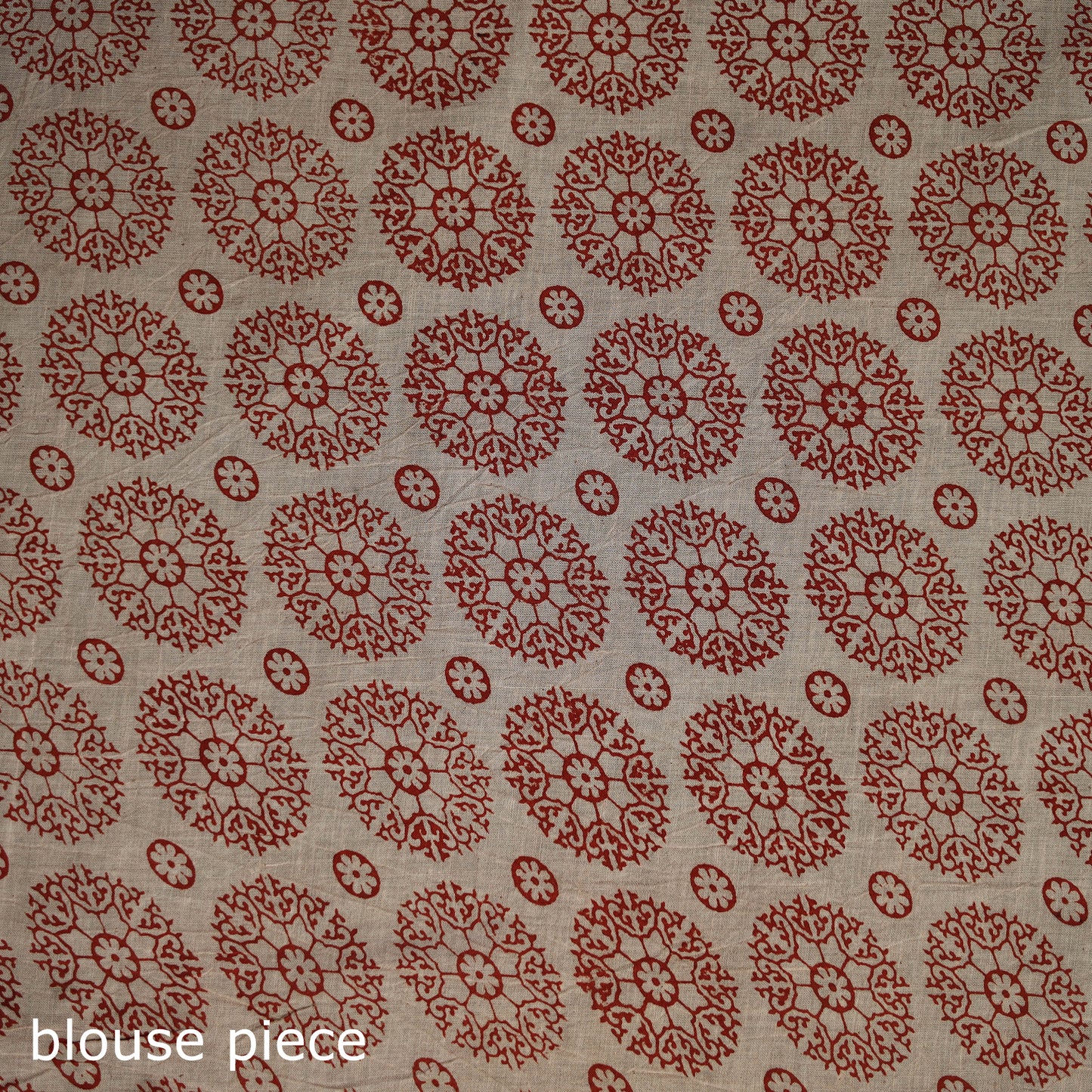 Kalamkari Printed Cotton Saree 17