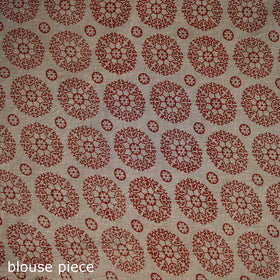 Kalamkari Printed Cotton Saree 17