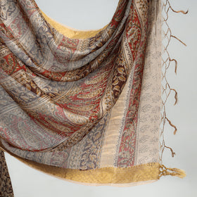 Original Pedana Kalamkari Block Print Silk Saree