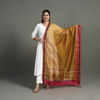 Brown - Handloom Silk Cotton Resham Border Maheshwari Dupatta 23