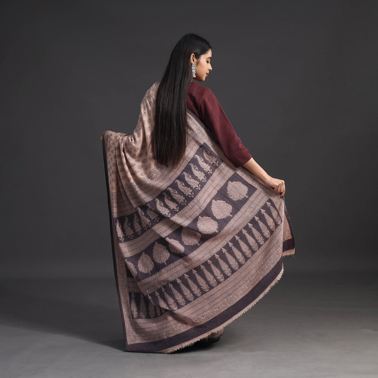 Beige - Handwoven Merino Wool Bagh Block Print Saree 02