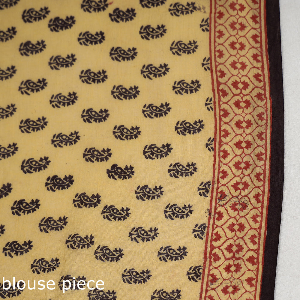 Bagh Print Saree