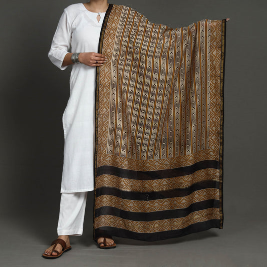 Brown - Bagru Block Printed Chanderi Silk Handloom Dupatta with Zari Border