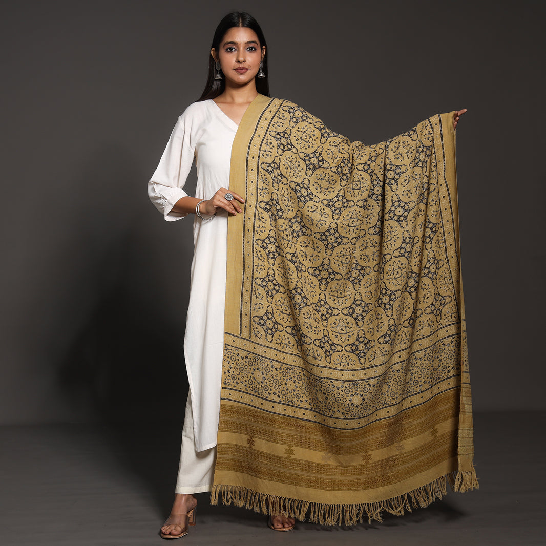 Sakshi Lightweight Wool Shawl main image 0