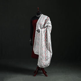 Phulkari Hand Embroidered Chanderi Silk Dupatta 14