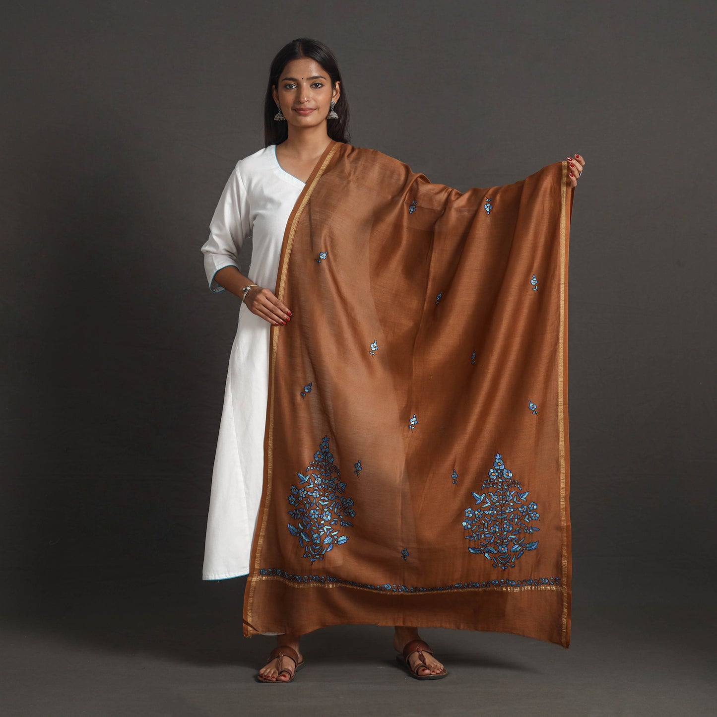 Brown - Handloom Chanderi Silk Kashida Embroidery Dupatta 16