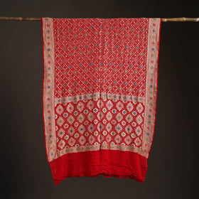 Kutch Bandhani Fine Georgette Banarasi Neem Zari Jaal Saree 11