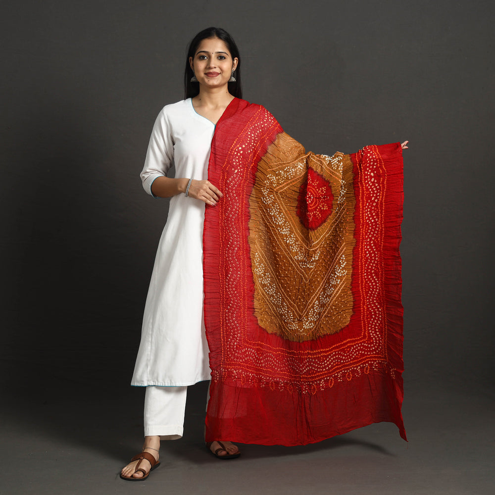 Brown - Kutch Tie-Dye Cotton Bandhani Dupatta 23