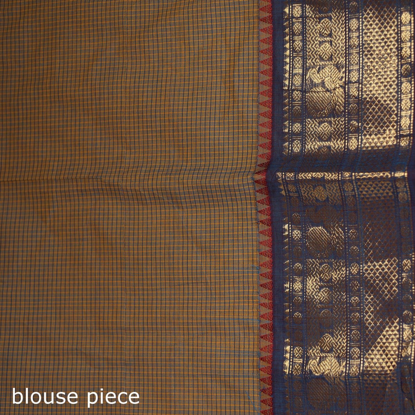 Checks Buti Cotton Zari Border Kanchipuram Saree 01