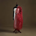 Red - Bandhani Tie-Dye Kota Doria Cotton Dupatta 08