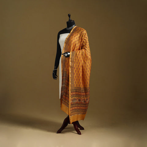 Orange - Natural Dyed Block Printed Chanderi Silk Bagh Dupatta 39