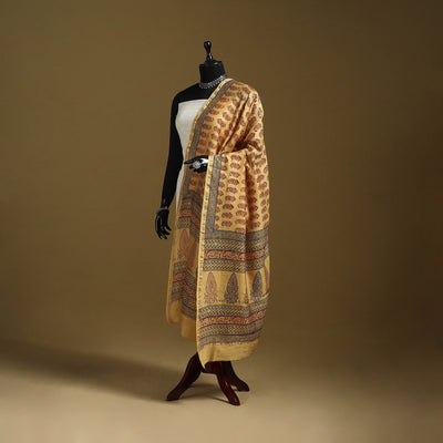 Yellow - Natural Dyed Block Printed Chanderi Silk Bagh Dupatta 42