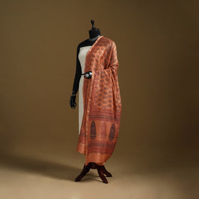 Orange - Natural Dyed Block Printed Chanderi Silk Bagh Dupatta 45