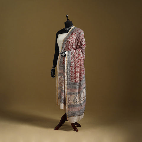Red - Natural Dyed Block Printed Chanderi Silk Bagh Dupatta 48