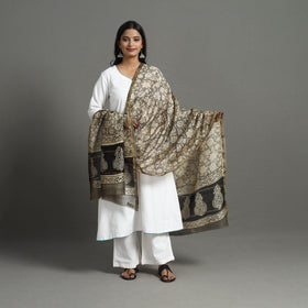 Grey - chanderi silk bagru dupatta with zari border 23