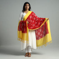 Pochampally Ikat Dupatta 